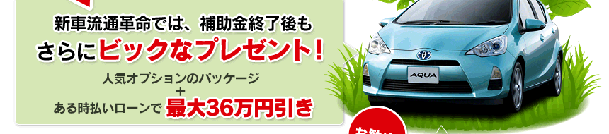 新車流通革命ではエコカー補助金終了後もさらにビックなプレゼント！