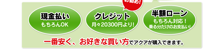 キャッシュ　もちろんOK　クレジット 月々20,300円より！　半額ローン　もちろん対応！のる分だけのお支払い！