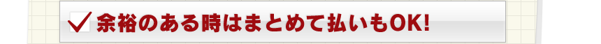 余裕のある時はまとめて払いもOK！