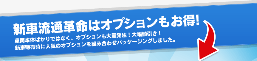 新車流通革命はオプションもお得!車両本体ばかりではなく、オプションも大量発注！大幅値引き！新車販売時に人気のオプションを組み合わせパッケージングしました。