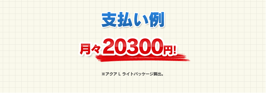 支払い例　月々20300円！