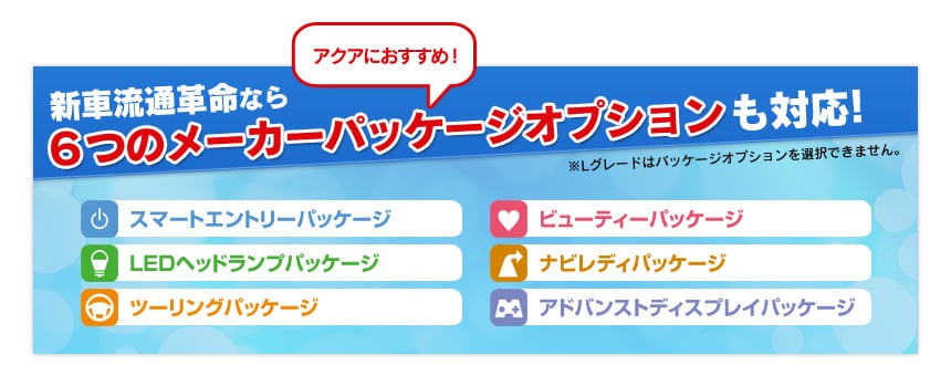 パッケージオプション