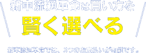 新車流通革命は買い方を賢く選べる