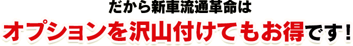 だから新車流通革命はオプションを沢山付けてもお得です!