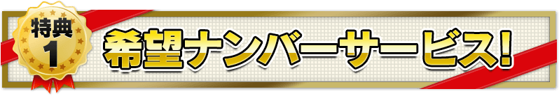 希望ナンバーサービス！