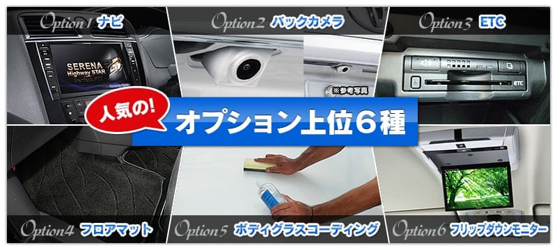 人気オプション上位６種
