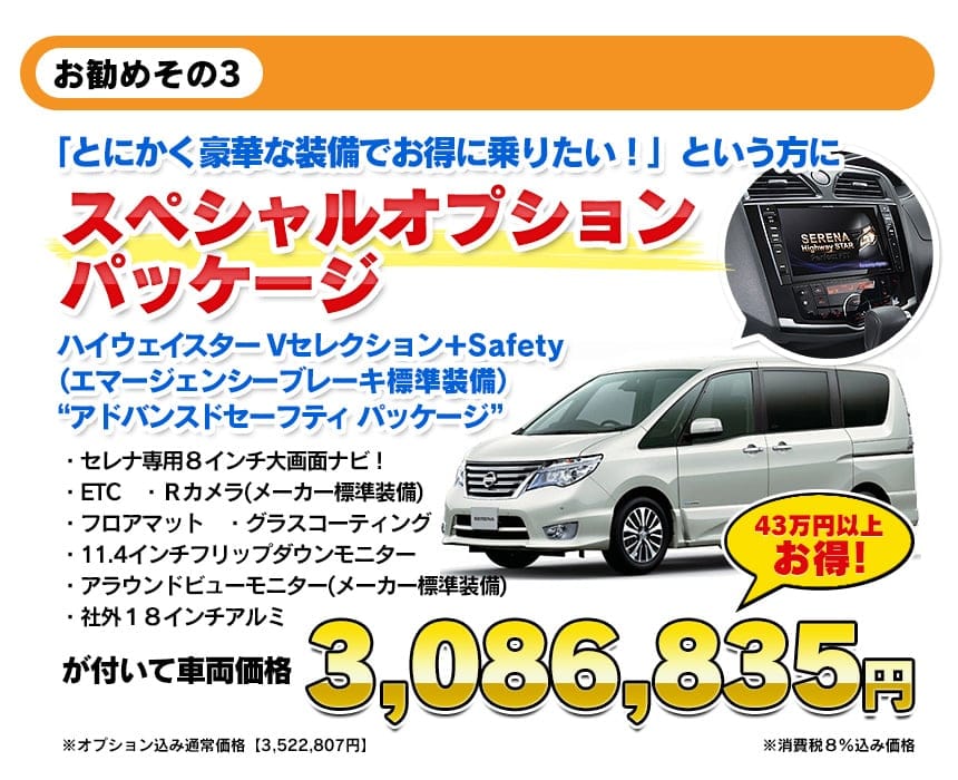 スペシャルオプションパッケージ