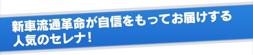 新車流通革命が自信をもってお届けする人気のセレナ！