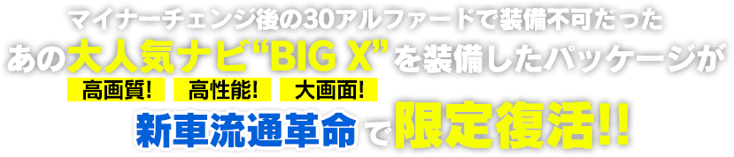 マイナーチェンジ後の30アルファードで装備不可だったあの大人気ナビBIGXを装備したパッケージが新車流通革命で限定復活！！