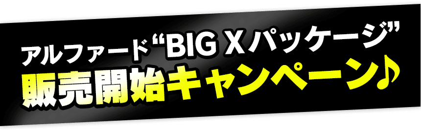 アルファードBIGXパッケージ販売開始キャンペーン♪