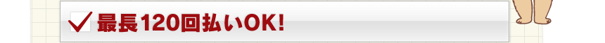 最長120回払いOK！