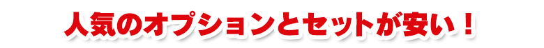 人気のオプションとセットが安い！