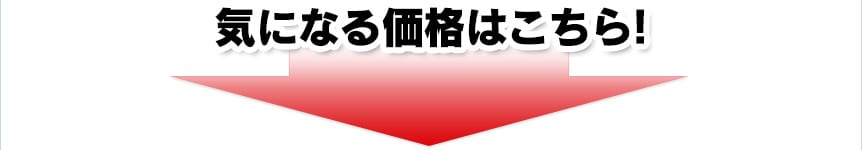 気になる価格はこちら！