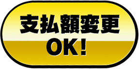 支払額変更OK!