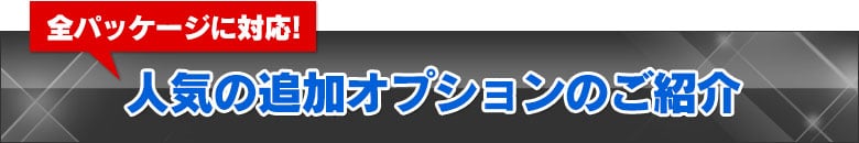 全パッケージに対応!人気の追加オプションのご紹介