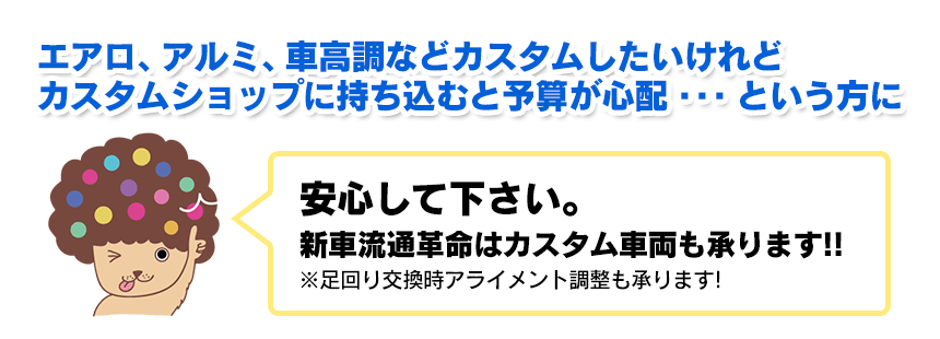スペシャルオプションパッケージ